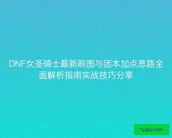 DNF女圣骑士最新刷图与团本加点思路全面解析指南实战技巧分享