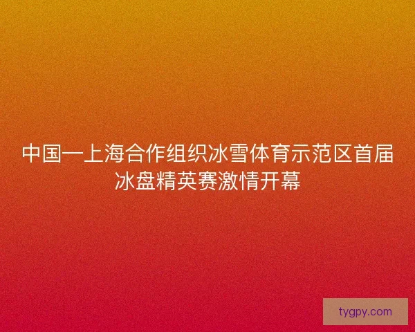 中国—上海合作组织冰雪体育示范区首届冰盘精英赛激情开幕